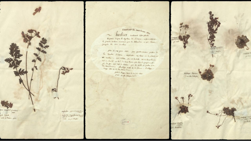 Planches extraites de Souvenirs des Eaux-Bonnes, 1850. Collection particulière